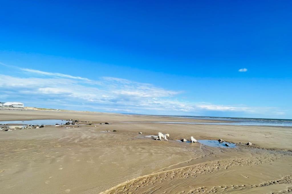 2 Bedroom Holiday Home In The Heart Of West Wales St Clears Kültér fotó
